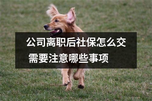 公司离职后社保怎么交 需要注意哪些事项