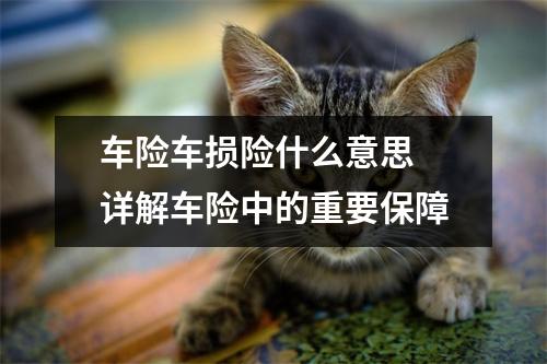 车险车损险什么意思 详解车险中的重要保障