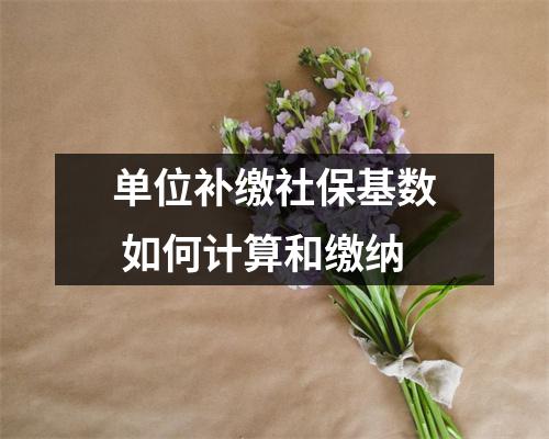 单位补缴社保基数 如何计算和缴纳