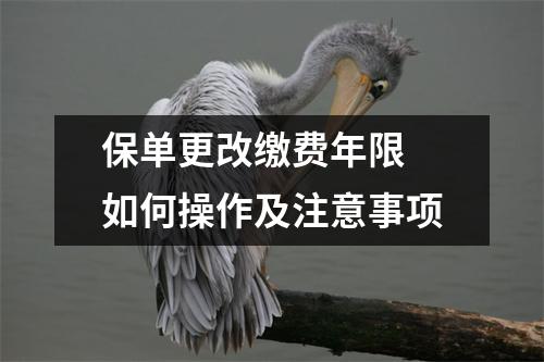 保单更改缴费年限 如何操作及注意事项