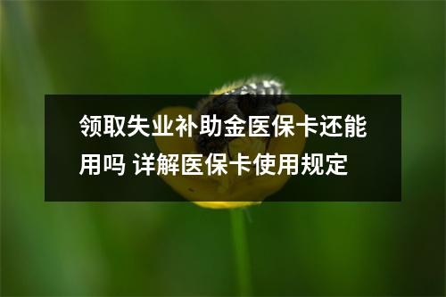 领取失业补助金医保卡还能用吗 详解医保卡使用规定