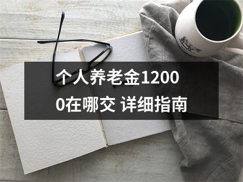 个人养老金12000在哪交 详细指南