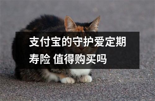 支付宝的守护爱定期寿险 值得购买吗 