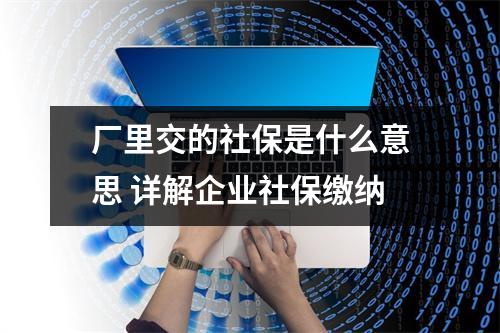 厂里交的社保是什么意思 详解企业社保缴纳