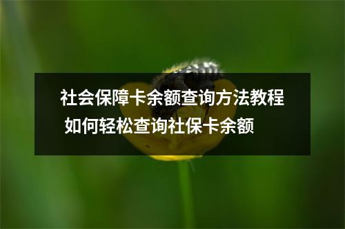 社会保障卡余额查询方法教程 如何轻松查询社保卡余额