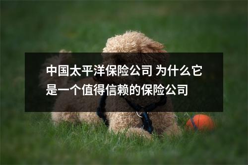 中国太平洋保险公司 为什么它是一个值得信赖的保险公司
