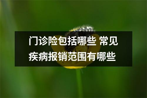 门诊险包括哪些 常见疾病报销范围有哪些