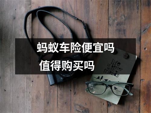 蚂蚁车险便宜吗 值得购买吗