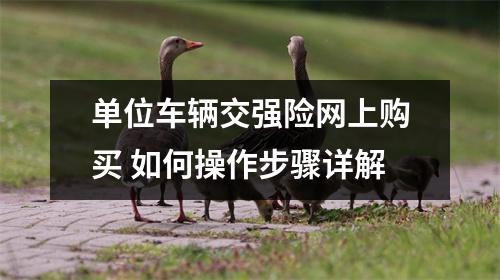 单位车辆交强险网上购买 如何操作步骤详解