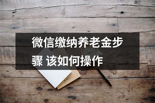 微信缴纳养老金步骤 该如何操作 
