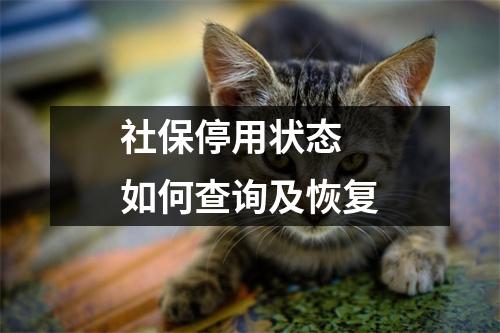 社保停用状态 如何查询及恢复