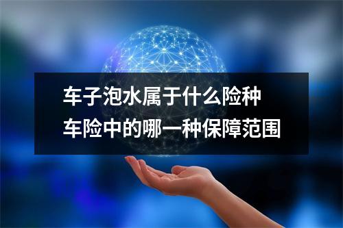 车子泡水属于什么险种 车险中的哪一种保障范围