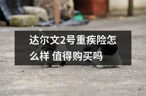 达尔文2号重疾险怎么样 值得购买吗