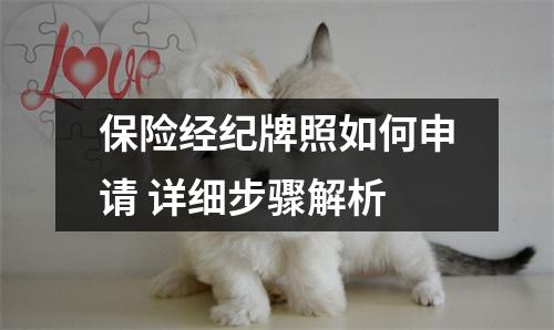 保险经纪牌照如何申请 详细步骤解析