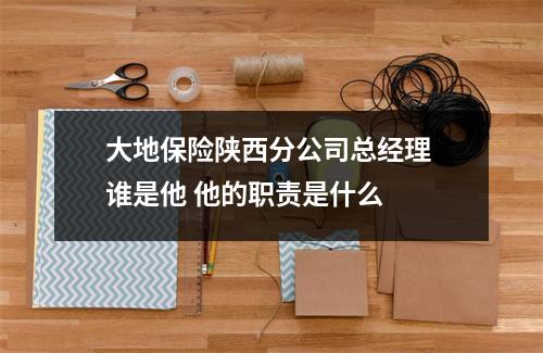 大地保险陕西分公司总经理 谁是他 他的职责是什么 