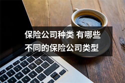 保险公司种类 有哪些不同的保险公司类型