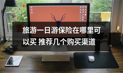旅游一日游保险在哪里可以买 推荐几个购买渠道