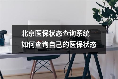 北京医保状态查询系统 如何查询自己的医保状态