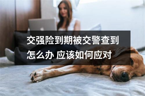 交强险到期被交警查到怎么办 应该如何应对