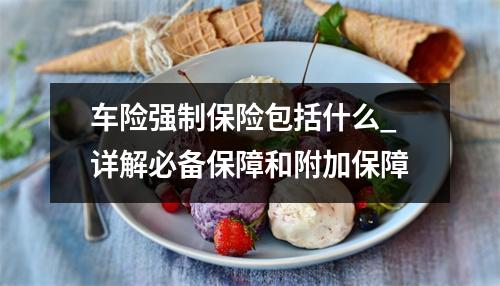 车险强制保险包括什么_详解必备保障和附加保障