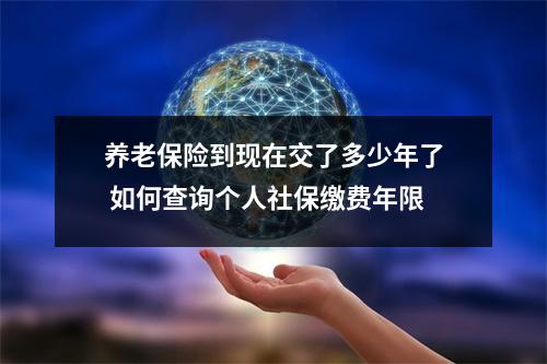 养老保险到现在交了多少年了 如何查询个人社保缴费年限