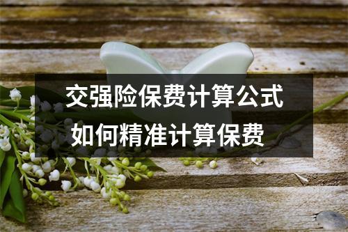 交强险保费计算公式 如何精准计算保费
