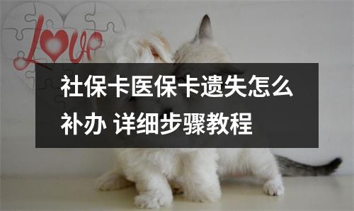 社保卡医保卡遗失怎么补办 详细步骤教程