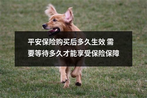 平安保险购买后多久生效 需要等待多久才能享受保险保障