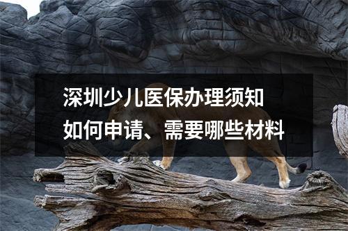 深圳少儿医保办理须知 如何申请、需要哪些材料
