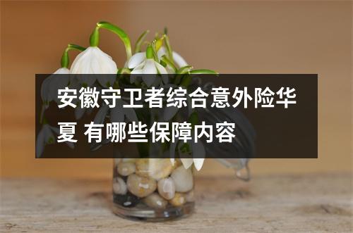 安徽守卫者综合意外险华夏 有哪些保障内容 