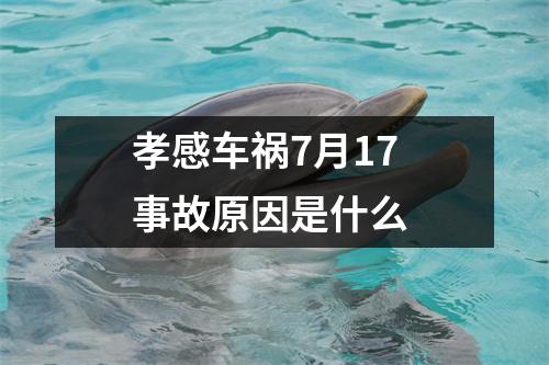 孝感车祸7月17 事故原因是什么