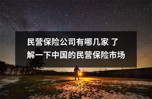 民营保险公司有哪几家 了解一下中国的民营保险市场