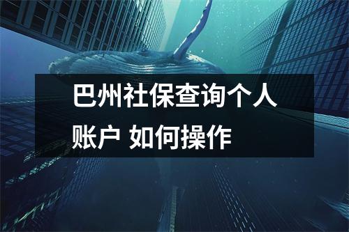 巴州社保查询个人账户 如何操作 