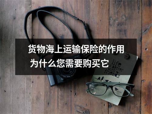 货物海上运输保险的作用 为什么您需要购买它