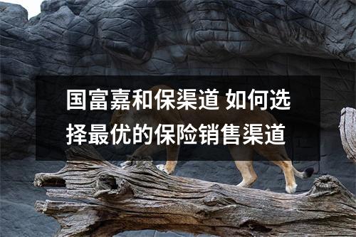 国富嘉和保渠道 如何选择最优的保险销售渠道