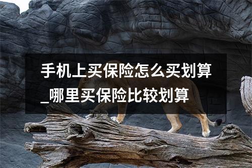 手机上买保险怎么买划算_哪里买保险比较划算