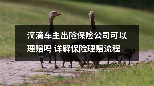 滴滴车主出险保险公司可以理赔吗 详解保险理赔流程