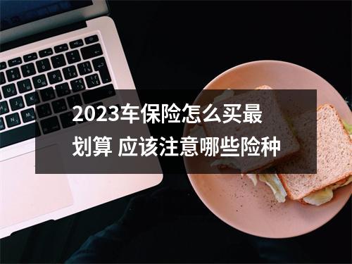 2023车保险怎么买最划算 应该注意哪些险种