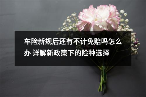 车险新规后还有不计免赔吗怎么办 详解新政策下的险种选择