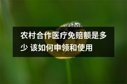 农村合作医疗免赔额是多少 该如何申领和使用