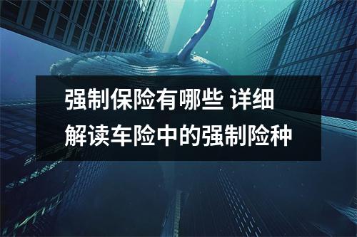 强制保险有哪些 详细解读车险中的强制险种
