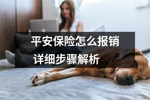 平安保险怎么报销 详细步骤解析