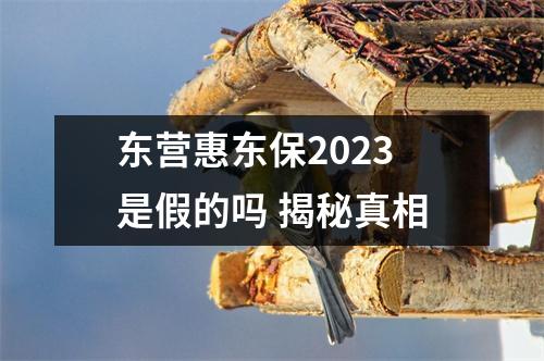 东营惠东保2023是假的吗 揭秘真相