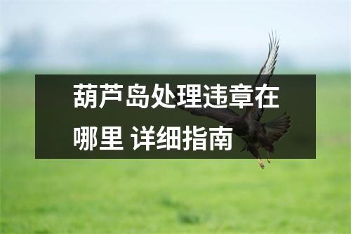 葫芦岛处理违章在哪里 详细指南