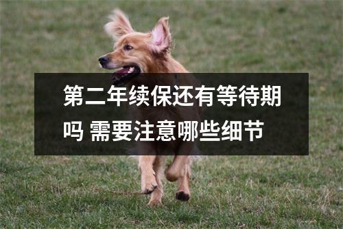 第二年续保还有等待期吗 需要注意哪些细节