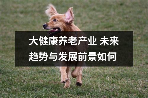 大健康养老产业 未来趋势与发展前景如何
