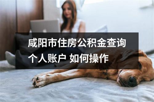 咸阳市住房公积金查询个人账户 如何操作