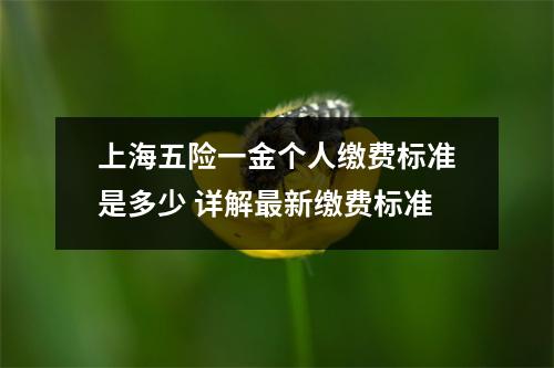 上海五险一金个人缴费标准是多少 详解最新缴费标准