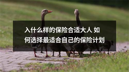入什么样的保险合适大人 如何选择最适合自己的保险计划