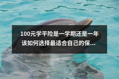 100元学平险是一学期还是一年 该如何选择最适合自己的保险方案